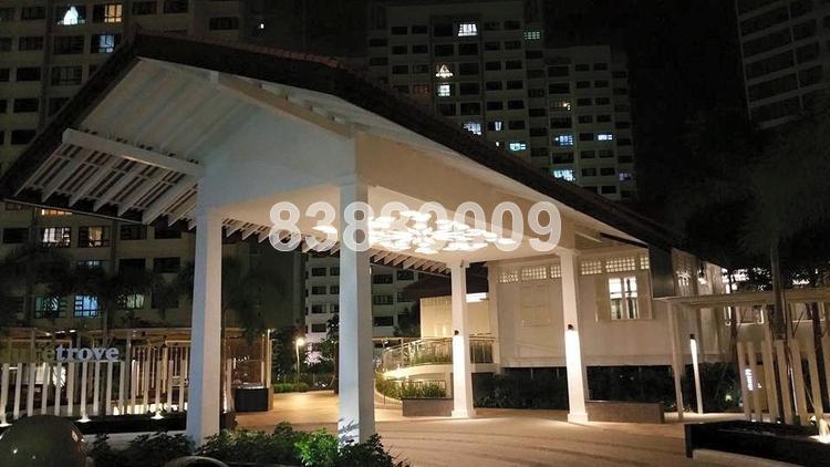 A Treasure Trove (D19), Condominium #71107941